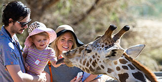 evropske-zoo-uvodni