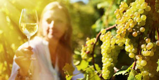 nahled-vinobrani