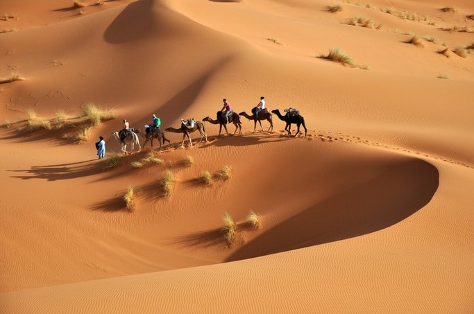 egypt-bezpecna-destinace-sahara