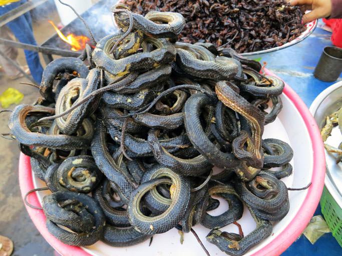 Kambodža: Gastro výzva pro odvážné 04
