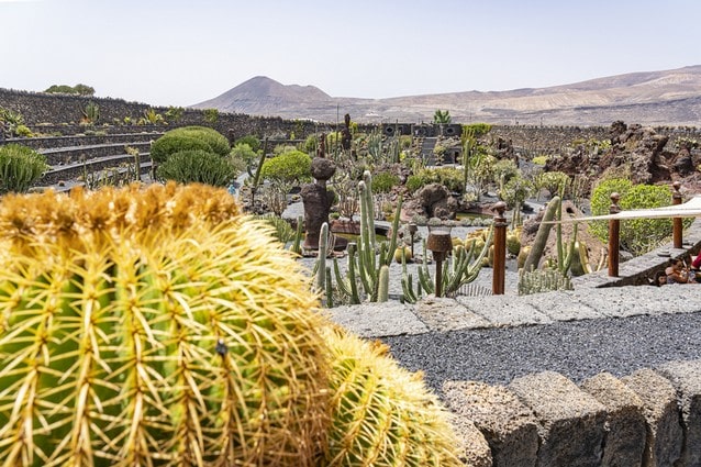 Kaktusová zahrada na Lanzarote