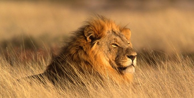 namibie