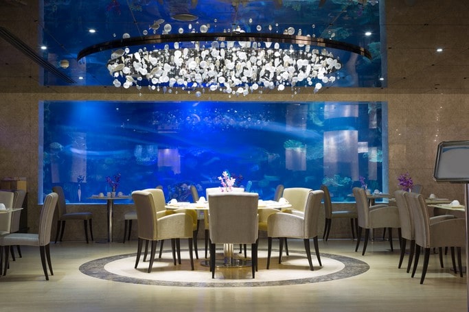 Restaurace v akváriu
